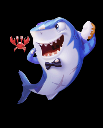 青训支持与赛事曝光：开云和B体育联动各级学校，建立阶梯式选拔与推广体系